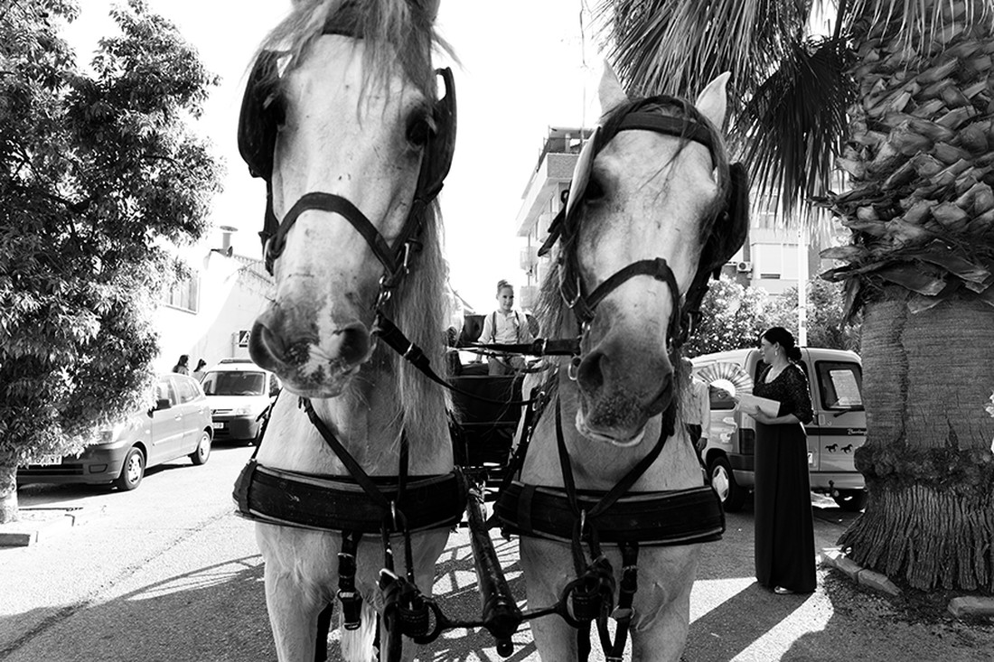 ivan&mireia-0411